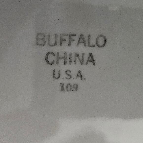 Buffalo China Green Band 9" Restaurant Ware Plates Set of 2 – Heavy Duty USA - Picture 4 of 5